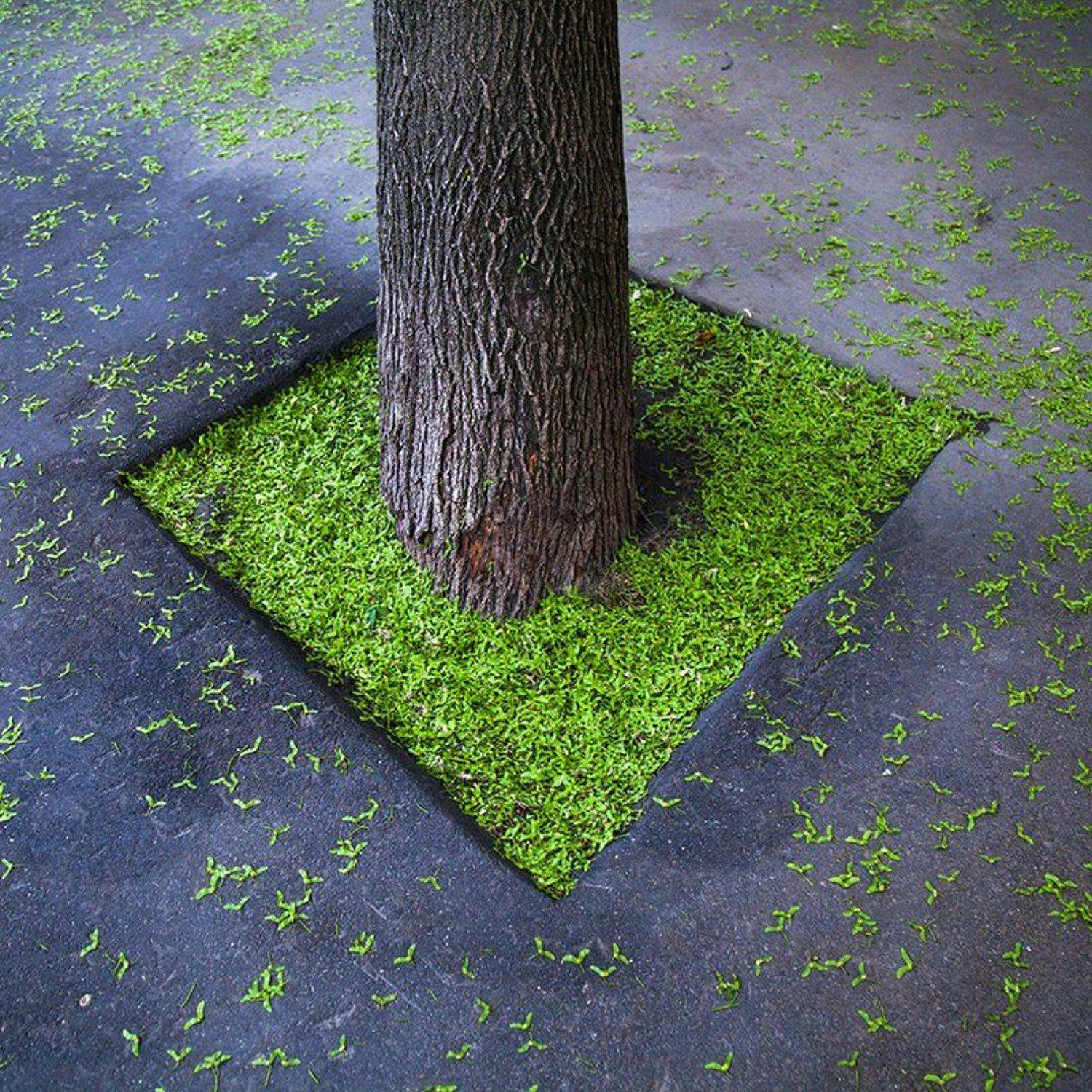 , Александр Сейд Панов