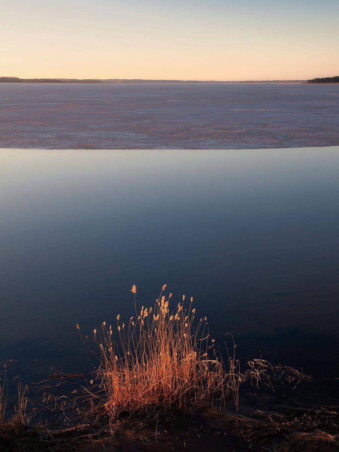 , Федотов Антон