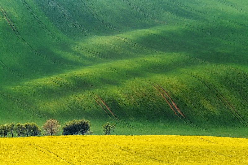 Moravia фото превью