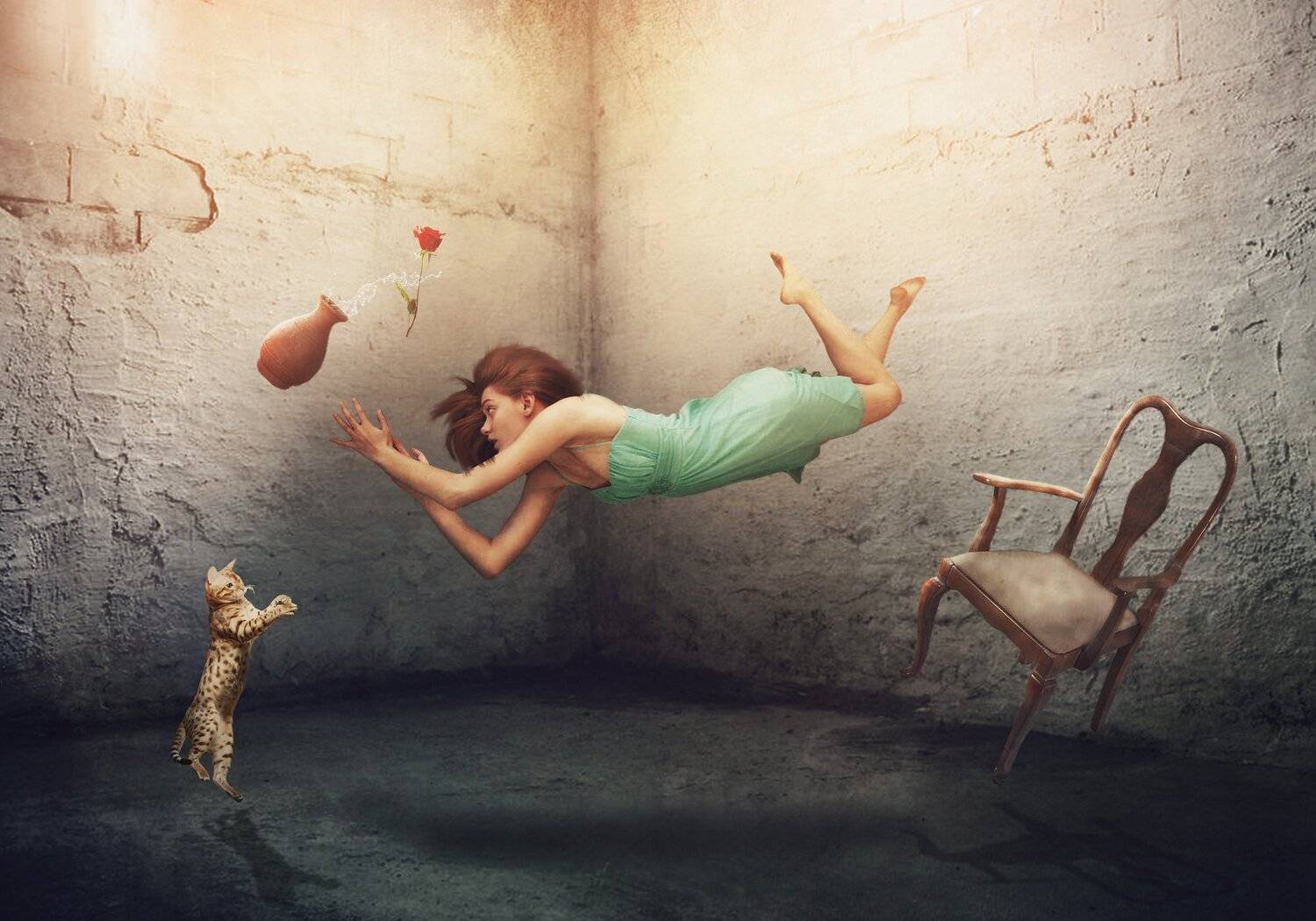 девушка, кот, стул, ваза, Sergii Vidov