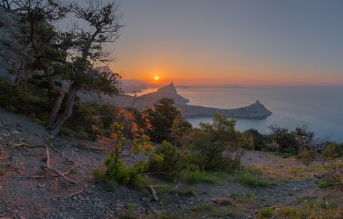 Вот и солнце появилось