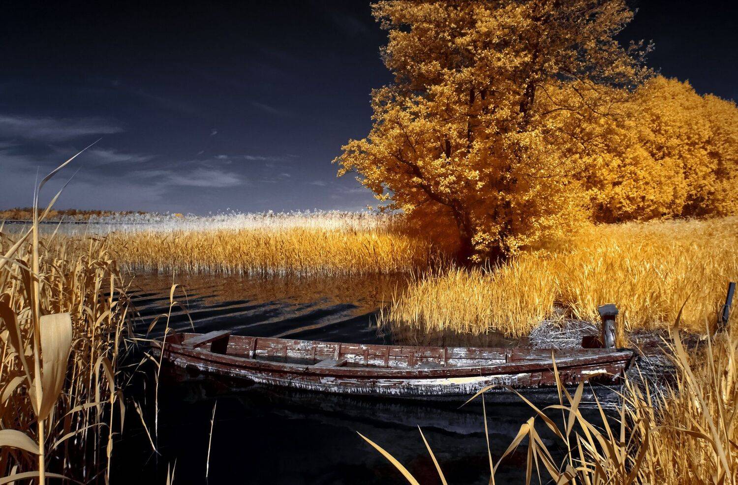 infrared,ик-фото,инфракрасное фото, инфракрасная фотография, пейзаж, лето, Sixten ( Сергей )