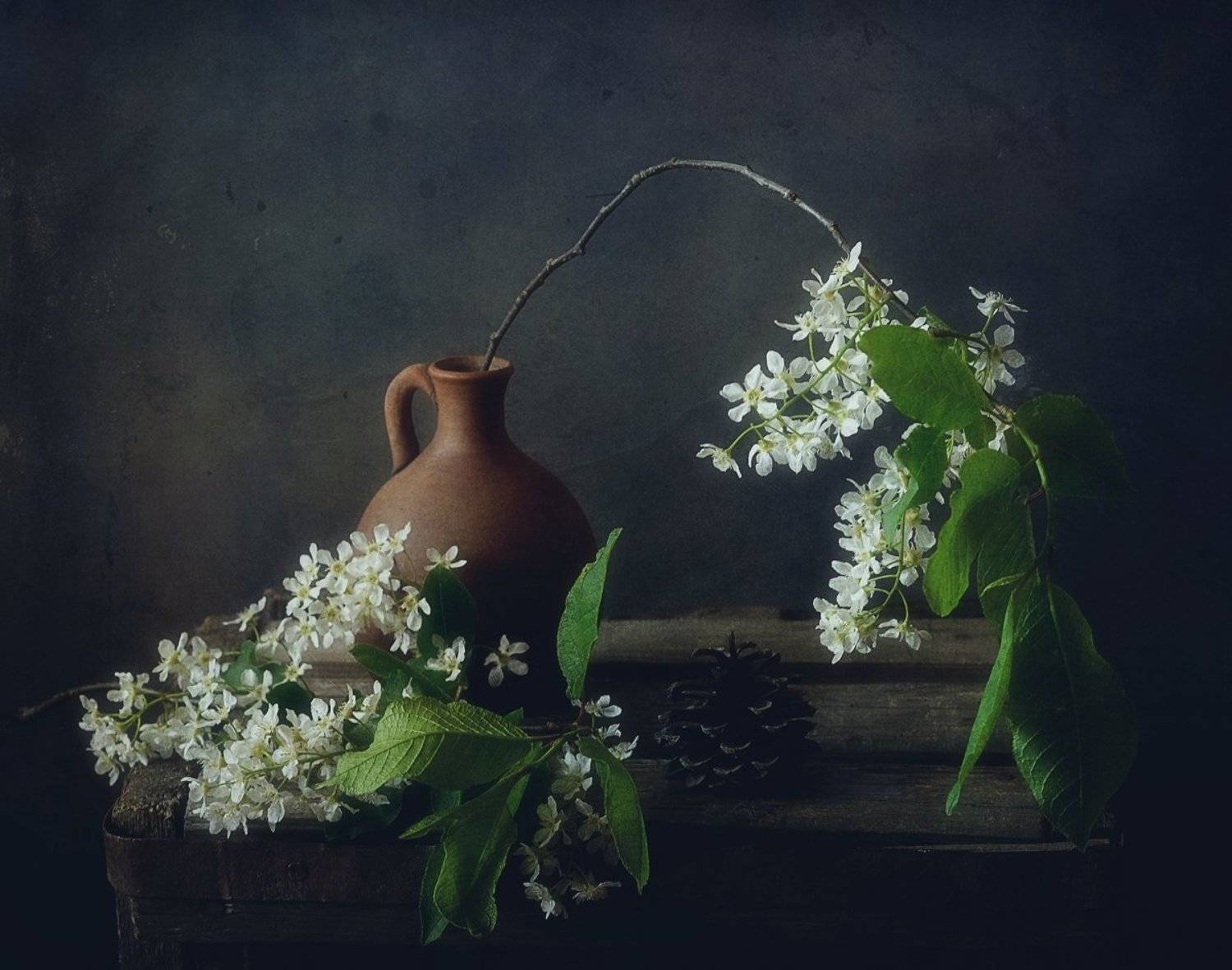 натюрморт,черемуха,цветы,весна, Наталия К