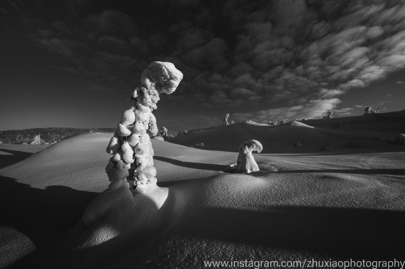 черный  белый Большой и маленький фото превью