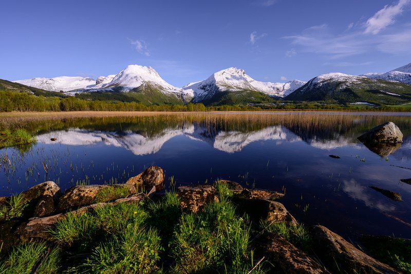 Spring in Norway фото превью