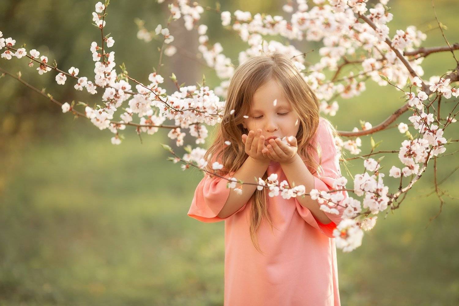 , Ника Колесникова