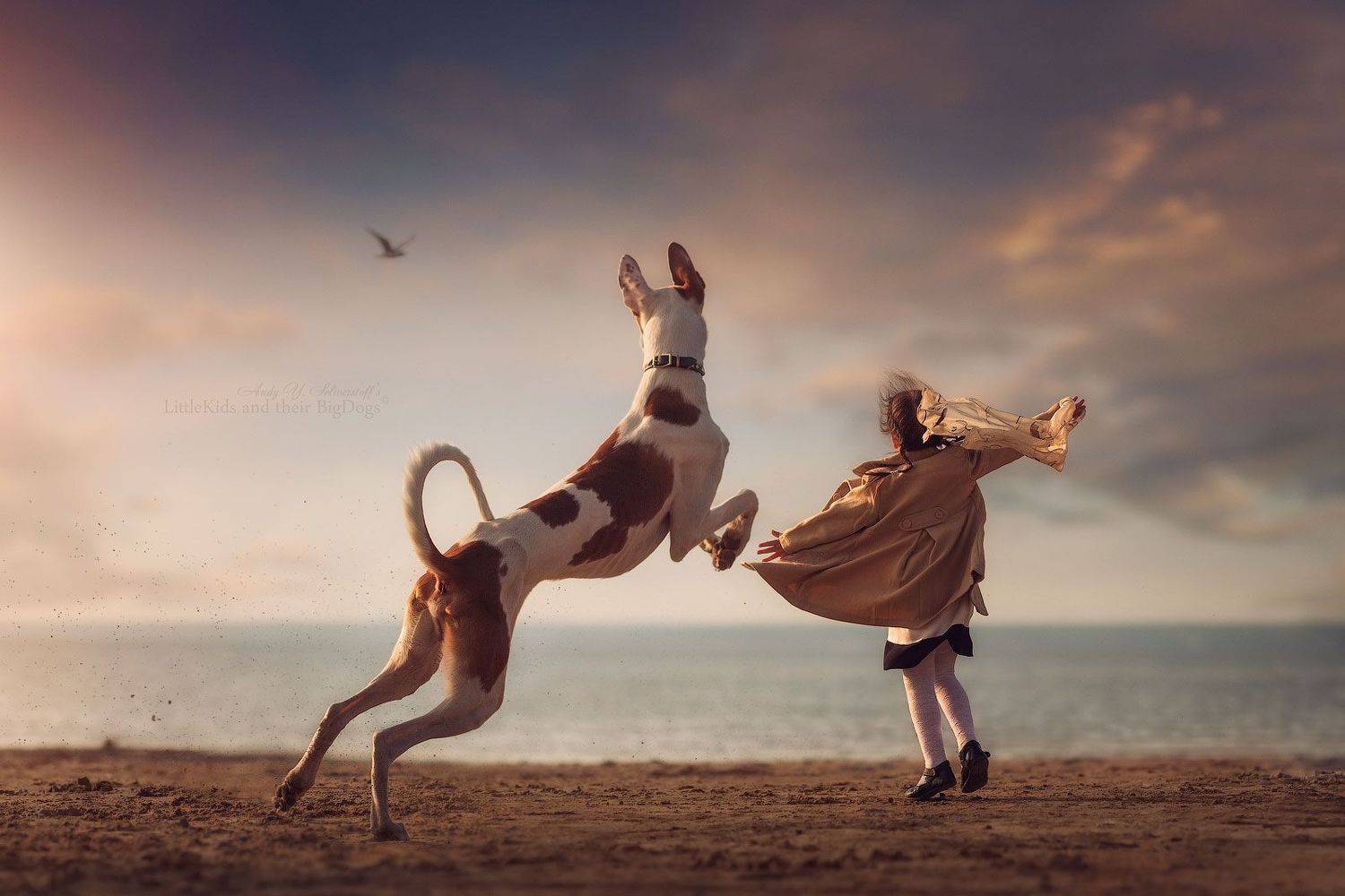 , Андрей Селиверстов