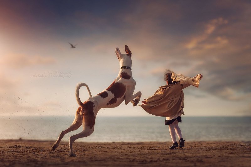 Варя и Вейс (podenco ibicenco) фото превью