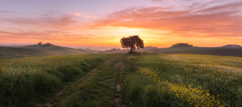 тоскана рассвет село деревня вилла деревья Тоскана утром фото превью
