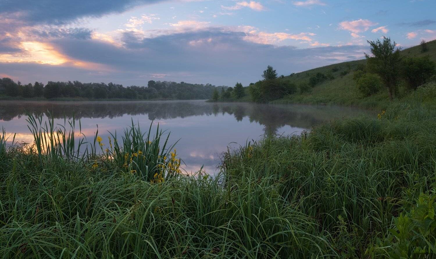 май, весна, озеро, туман, облака, рассвет, травы, цветы, ирисы, панорама, природа, пейзаж, springtime, may, irises, flowers, foggy, morning, pond, lake, grass, clouds, fog, misty, spring, sunrise, landscape, panorama, nature, Ivan Maljarenko 