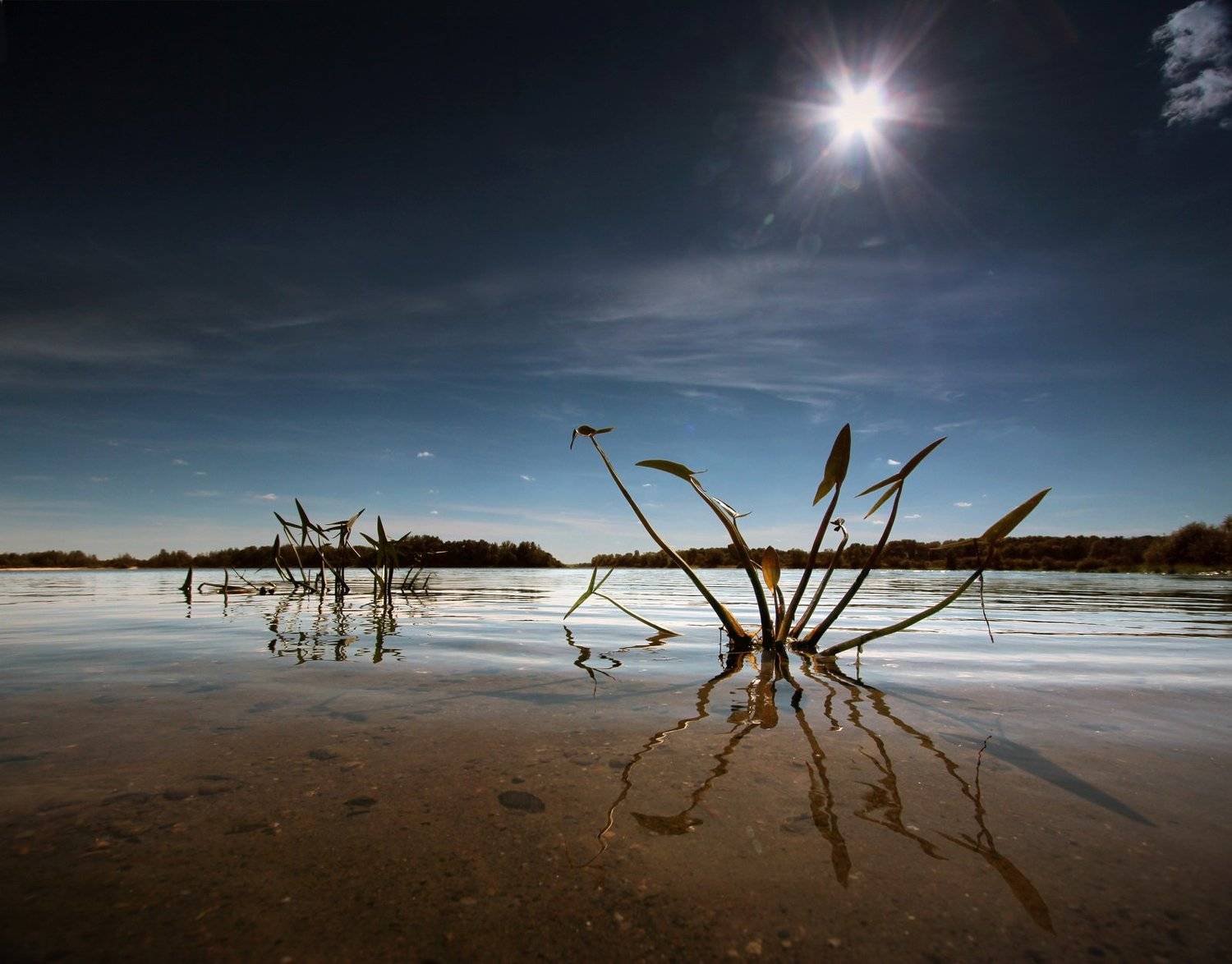 gomel belarus river sun река солнце беларусь гомель, Иванчиков Дмитрий
