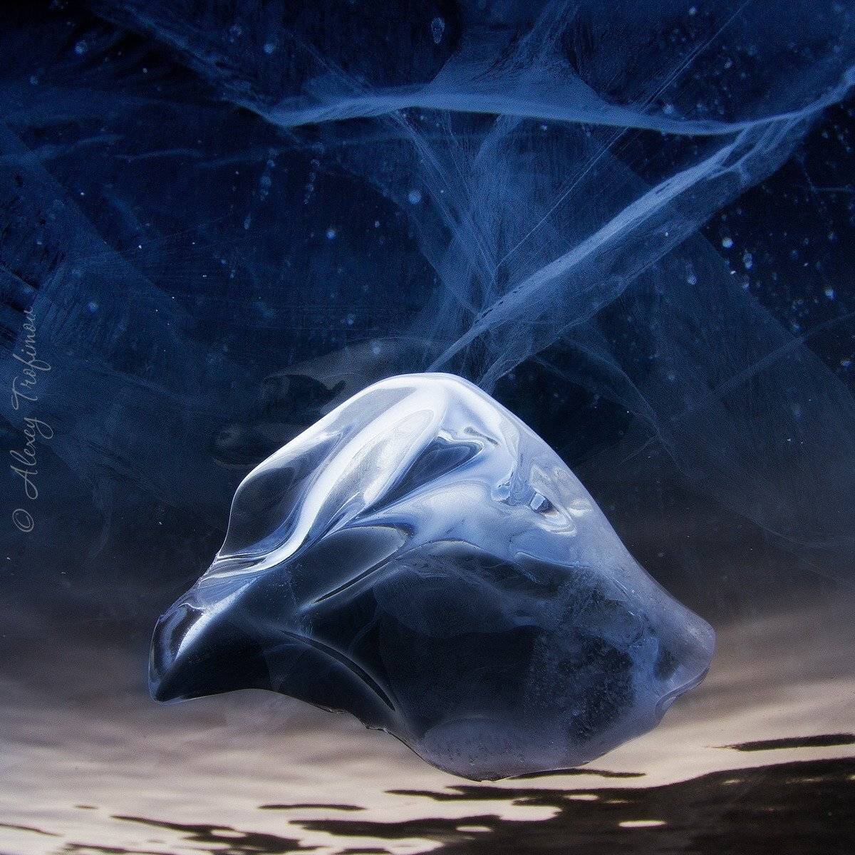 , Алексей Трофимов