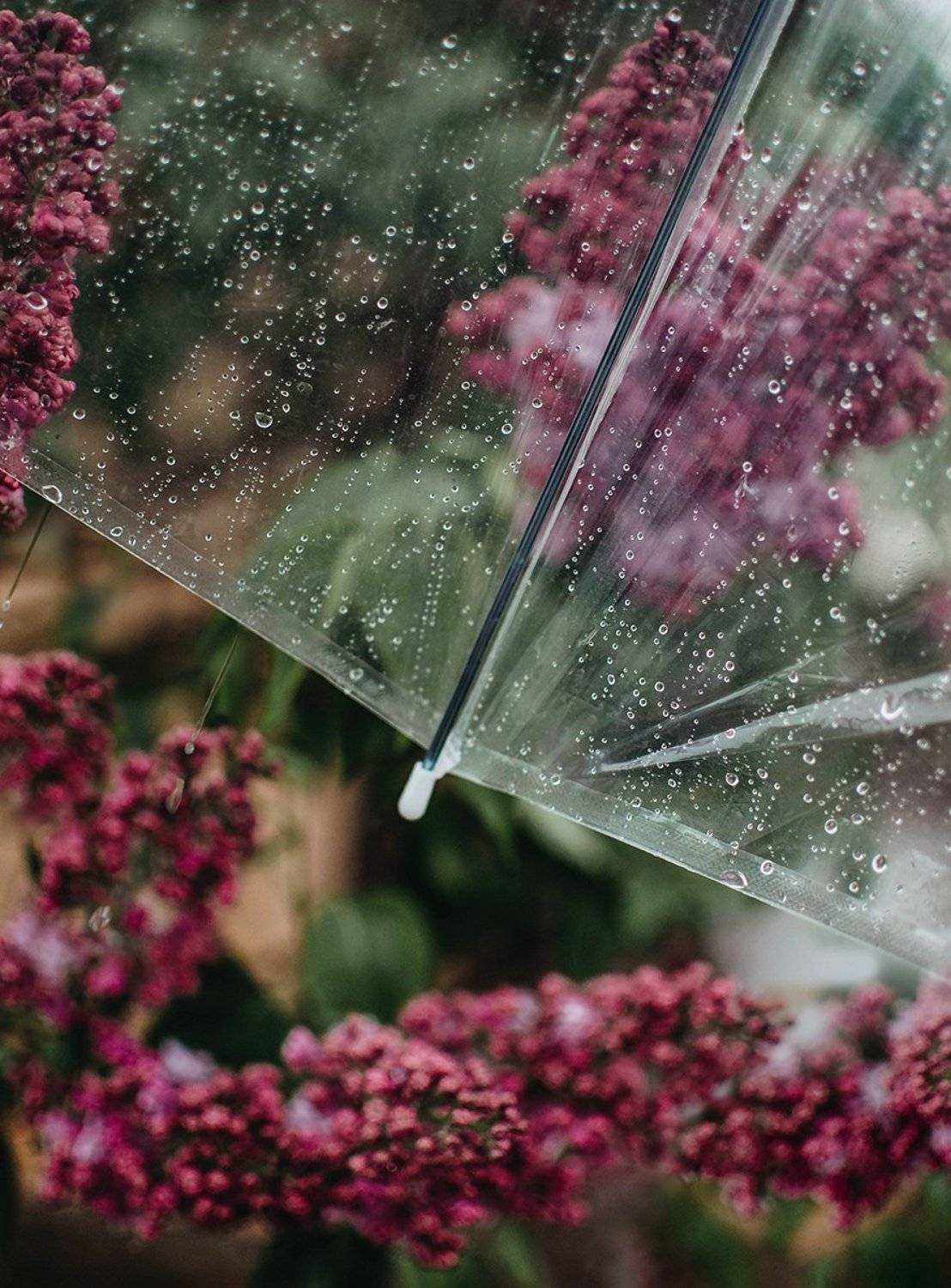 , Чернякова Анна