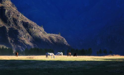 На исходе майского дня