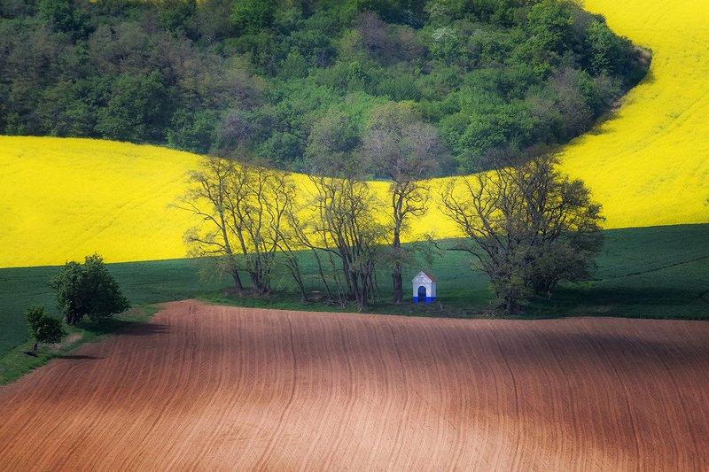 Moravia фото превью