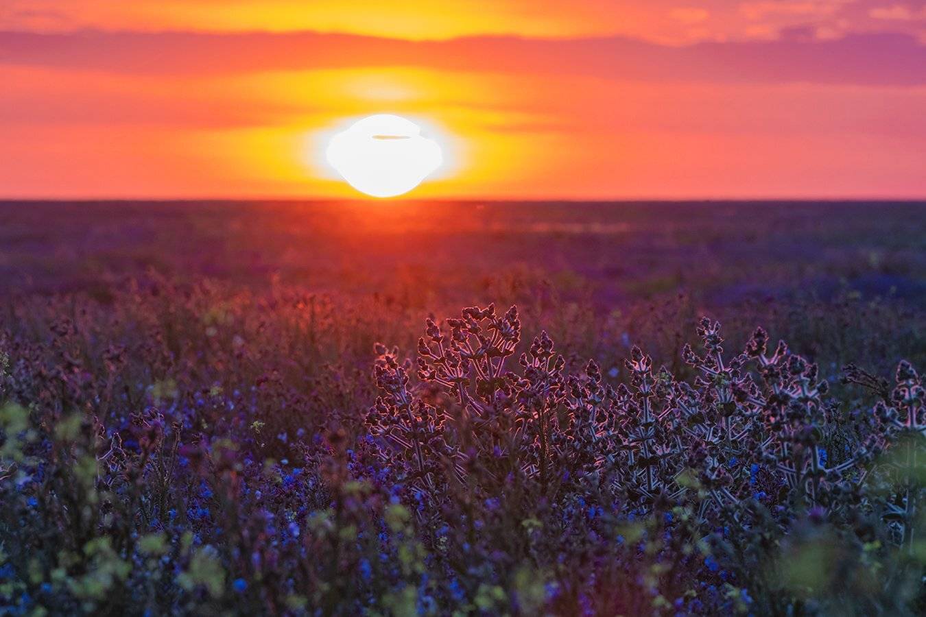 , Илья Михеев