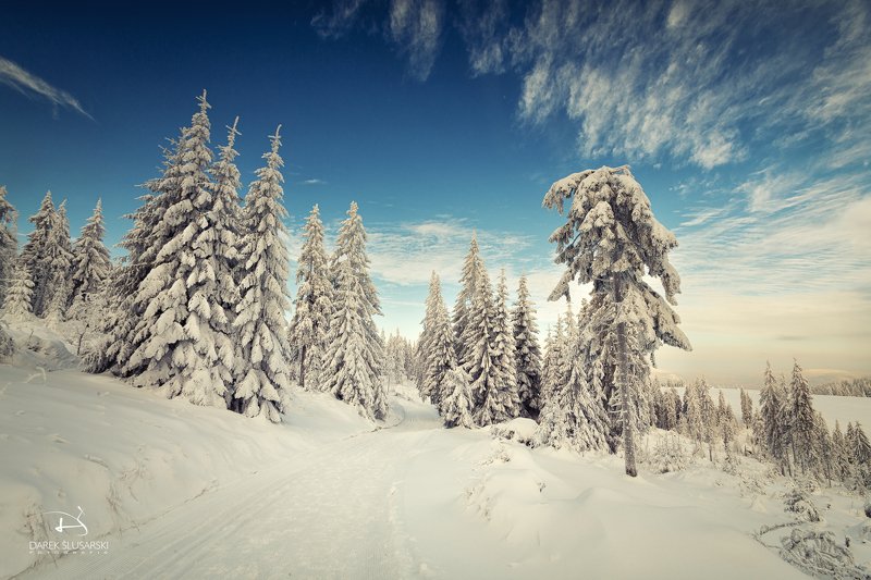 Gorce фото превью