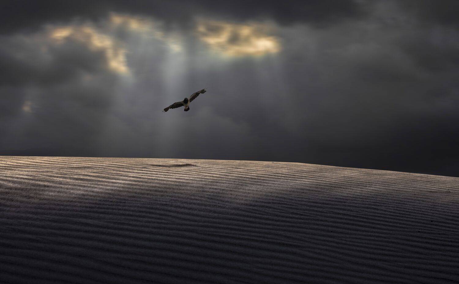 , Leonid Lan