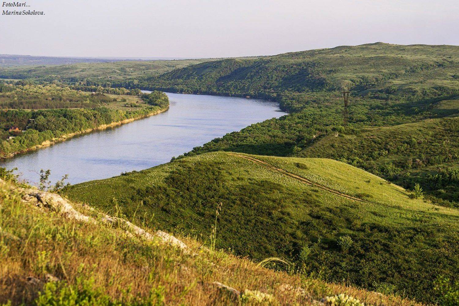 , Марина Соколова