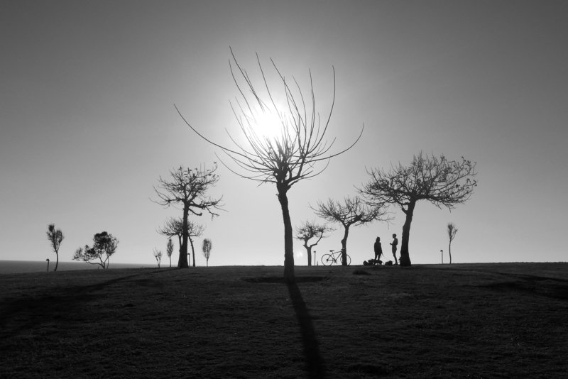 silhouet, black, and, white silhouettes ...#15 фото превью