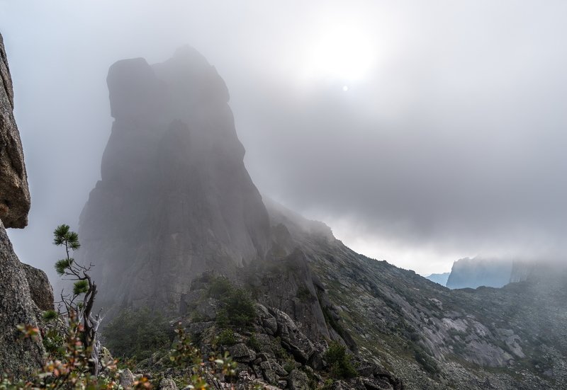горы, сибирь, саяны, западный саян, ергаки, путешествие, поход, приключения, ник васильев, утро, туман, дерево, кедр Туманная Сказка фото превью