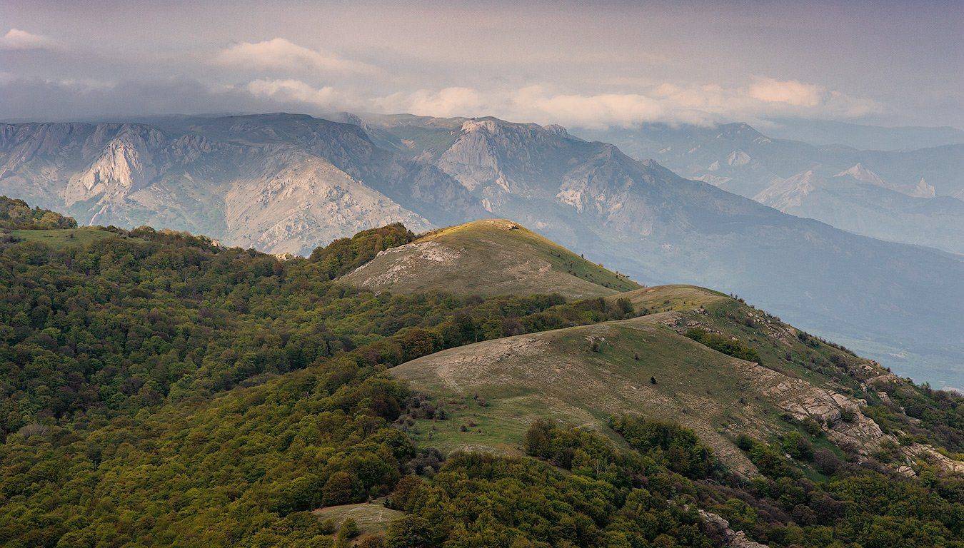 , Олег Логунов