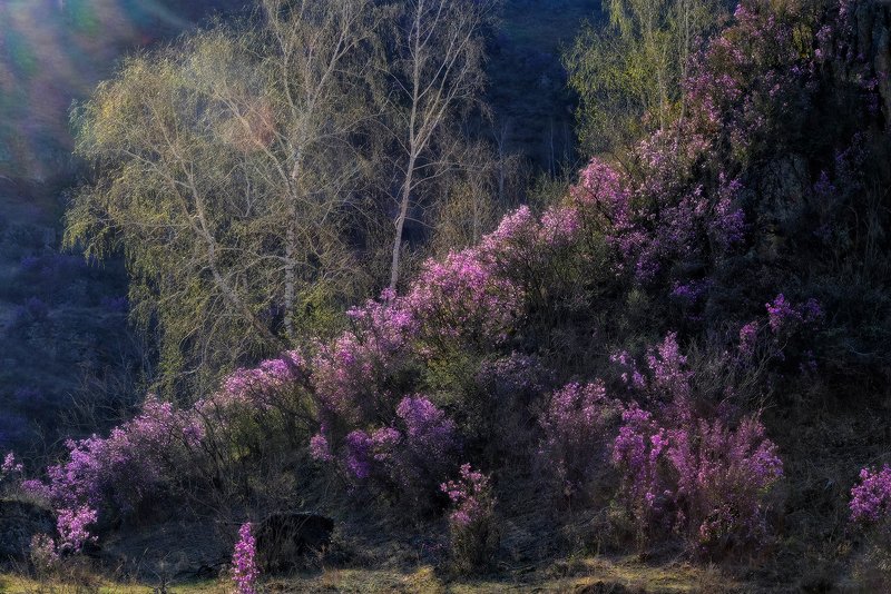 Весенний этюд фото превью