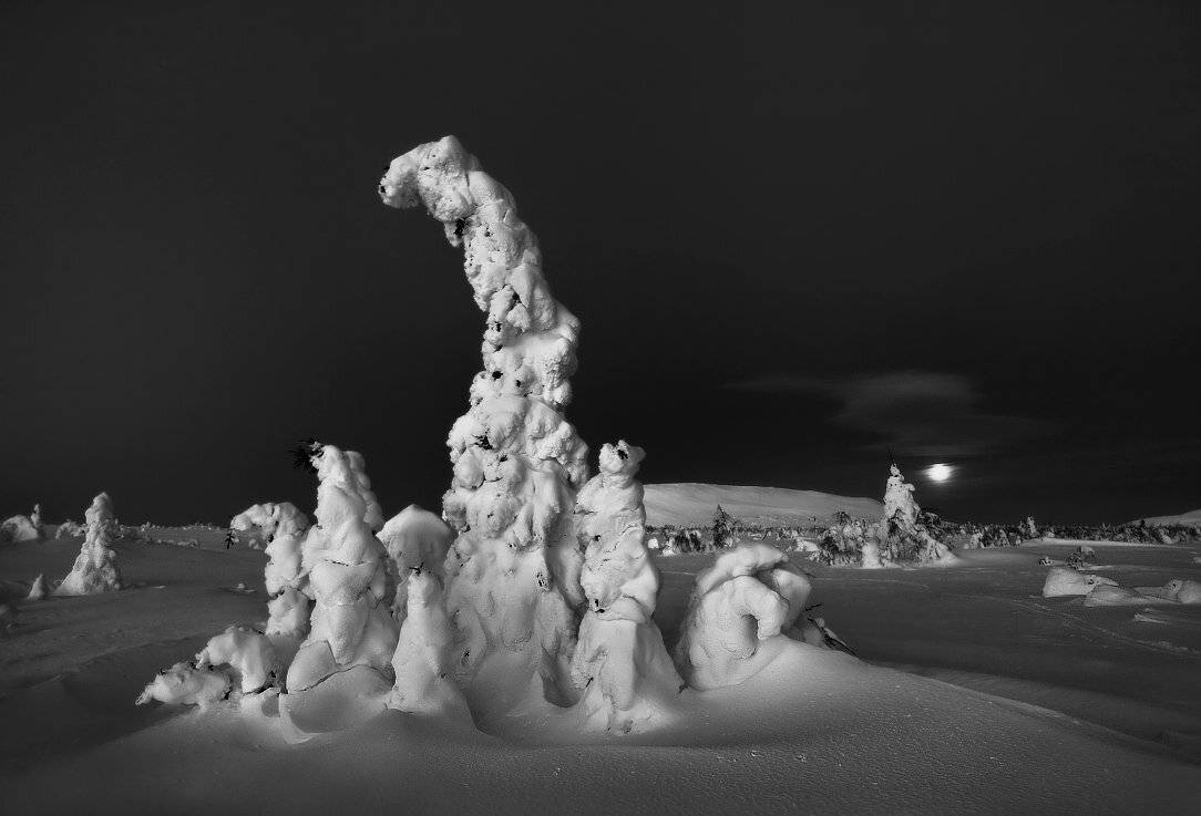 , Сергей Макурин