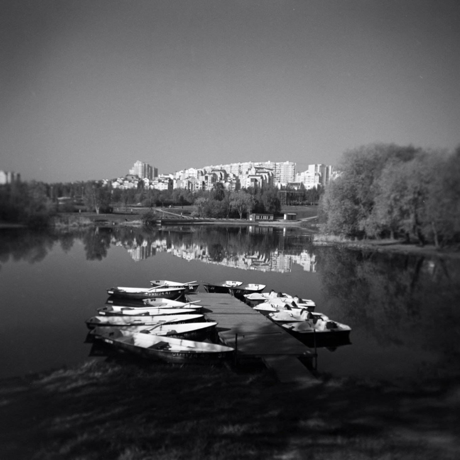 , Александр Резников