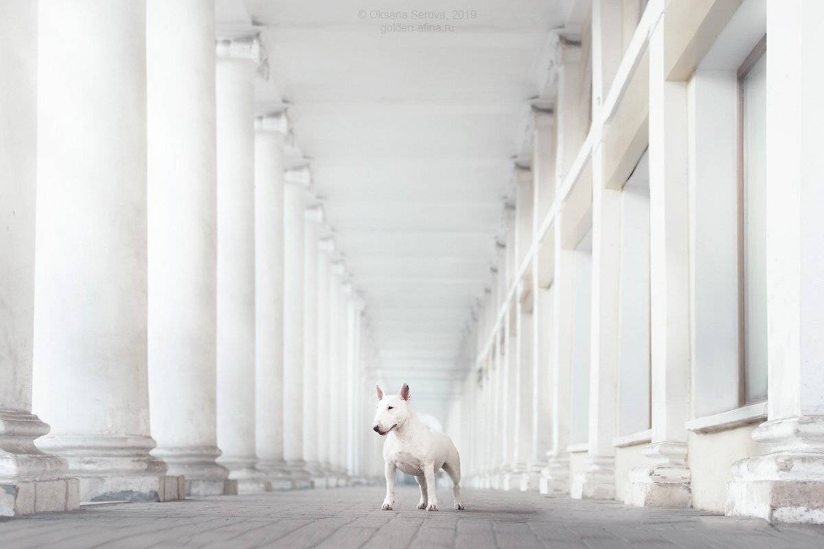 , Оксана Серова