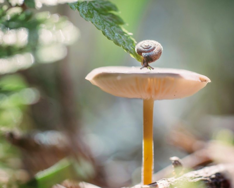 Долгий путь :) фото превью