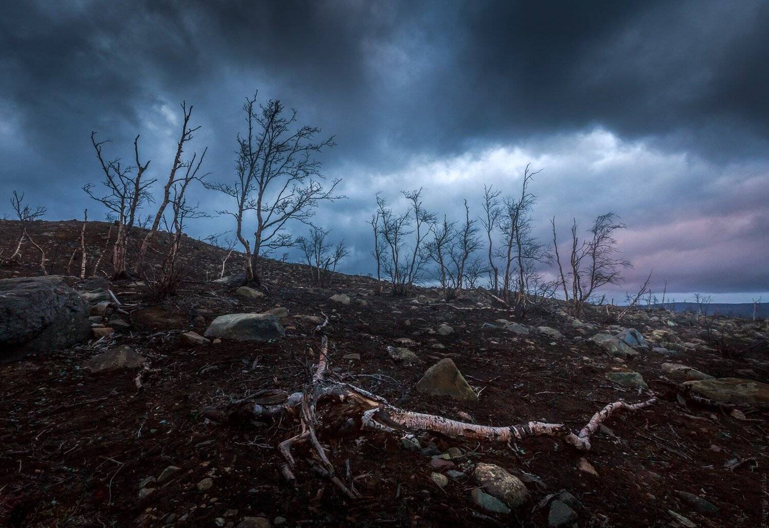 , Евгений Луцко