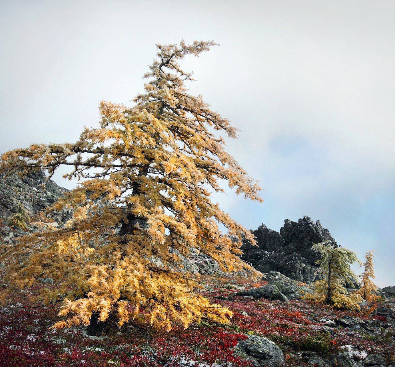 , Сергей Макурин