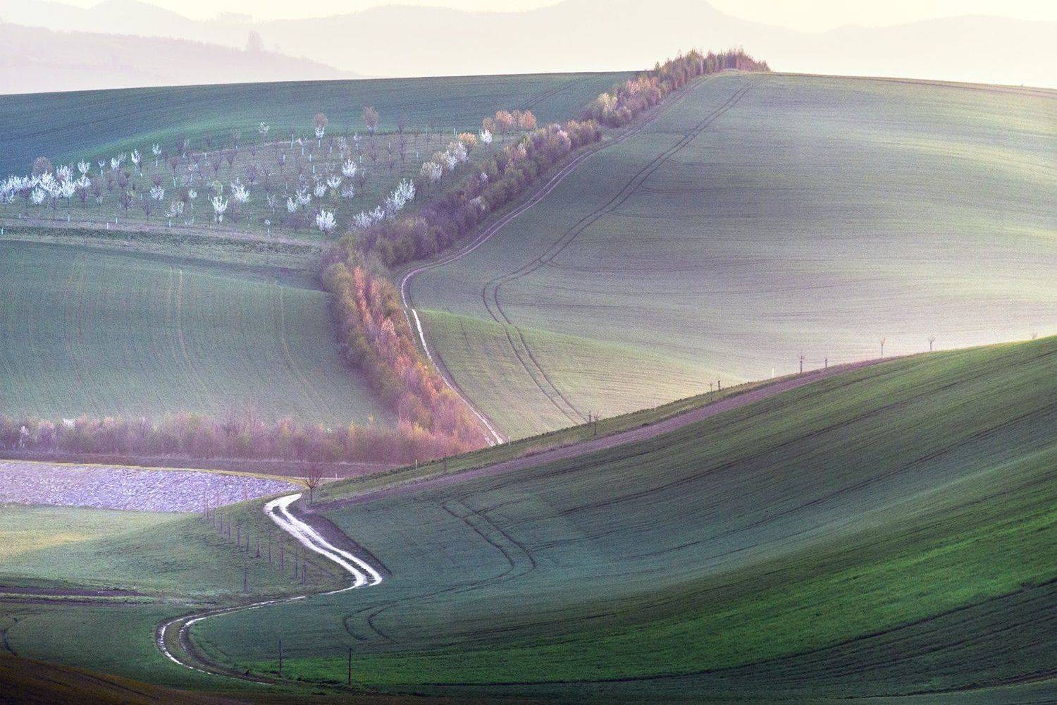 , Крицак Ольга