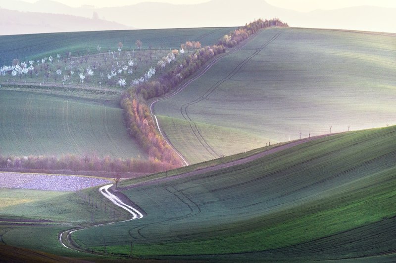 Свет раннего утра фото превью
