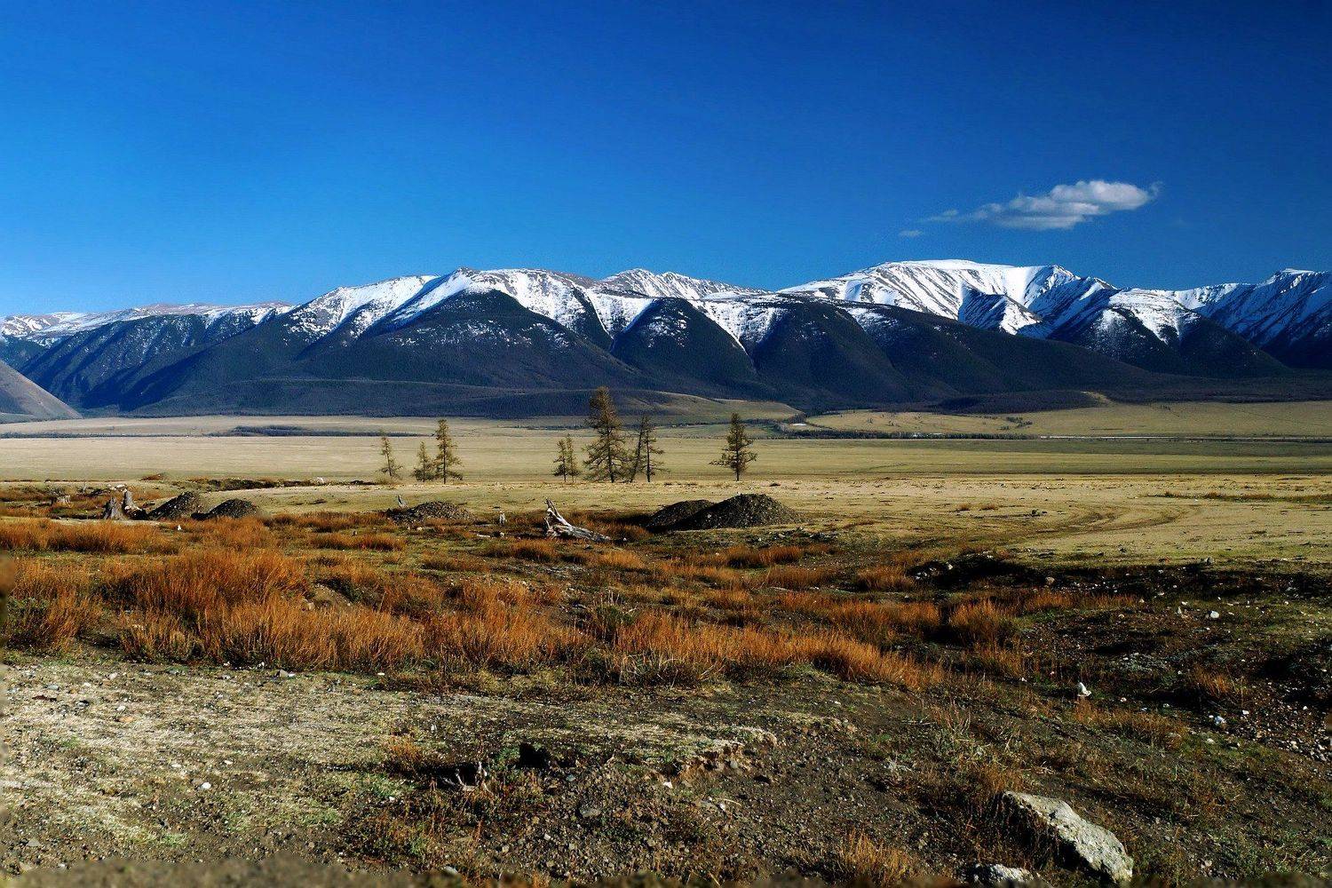 природа  алтай  горы пейзаж путешествие весна тени  май курай северо-чуйский хребет, Людмила