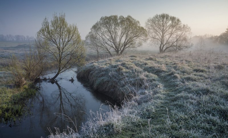 Весеннее утро фото превью