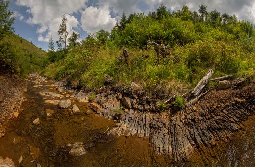 прикарпатье