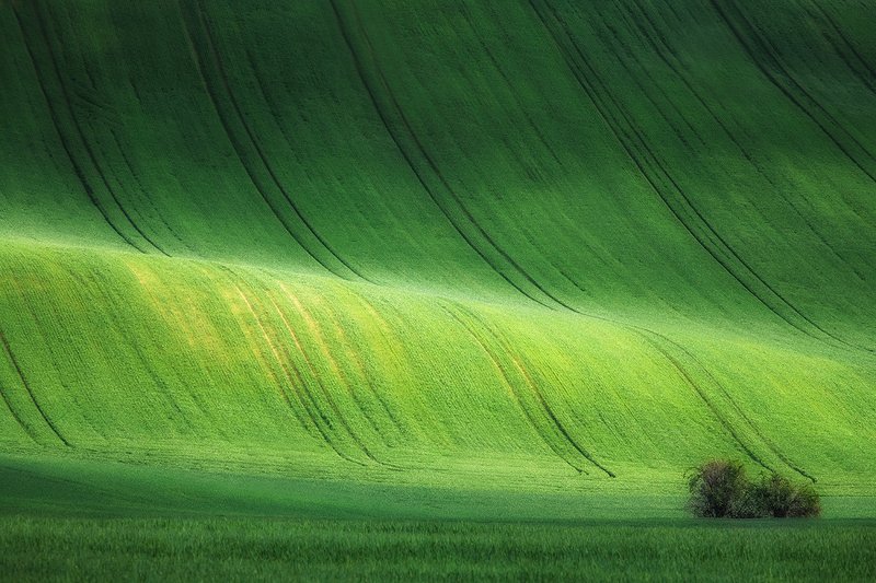 Moravia фото превью