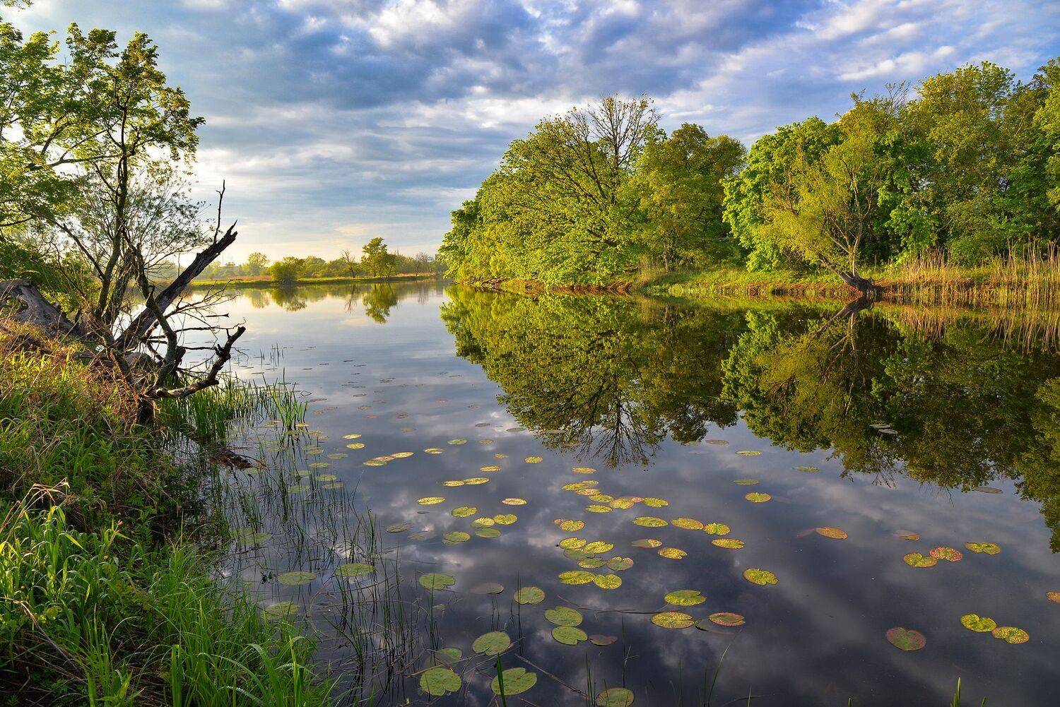 national unteres odertal river sky clouds dranikowski landscape germany park water nikon mirror grass spring springtime, Radoslaw Dranikowski