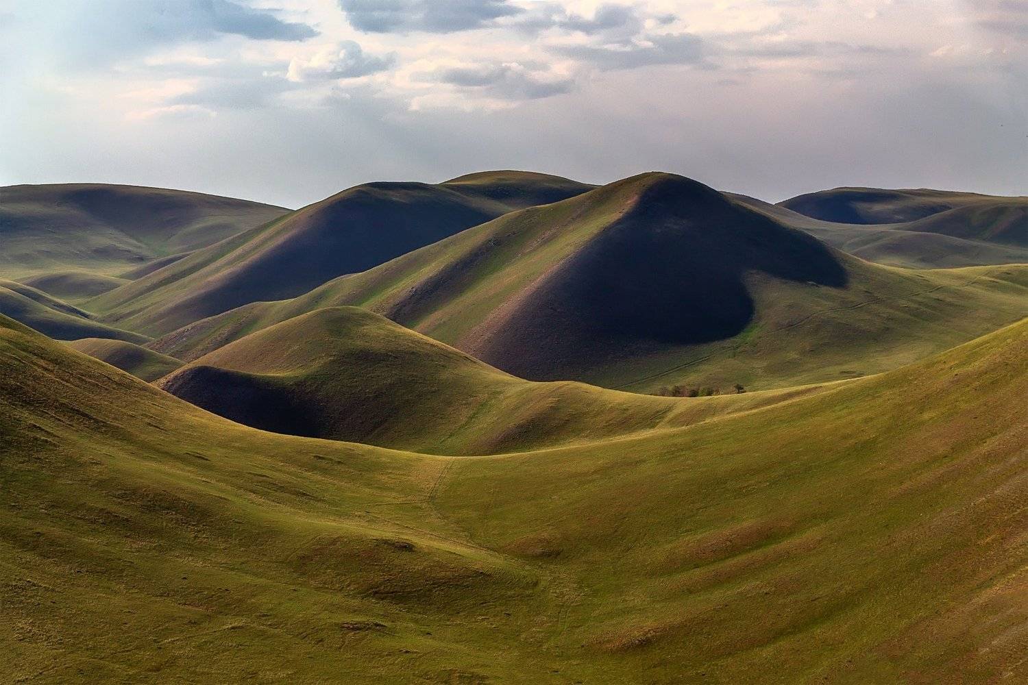 , Леонид Максименко