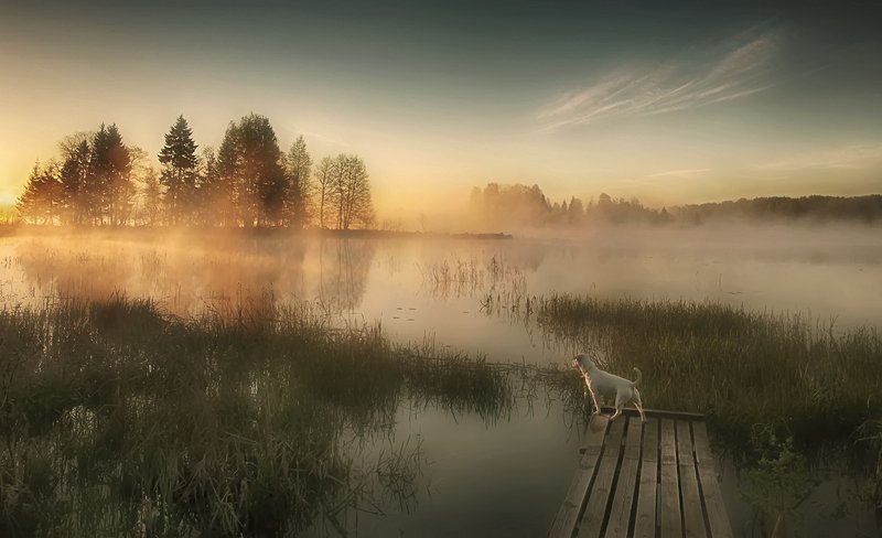 рассвет,озеро шлино,май,природа ..встречая рассвет.. фото превью