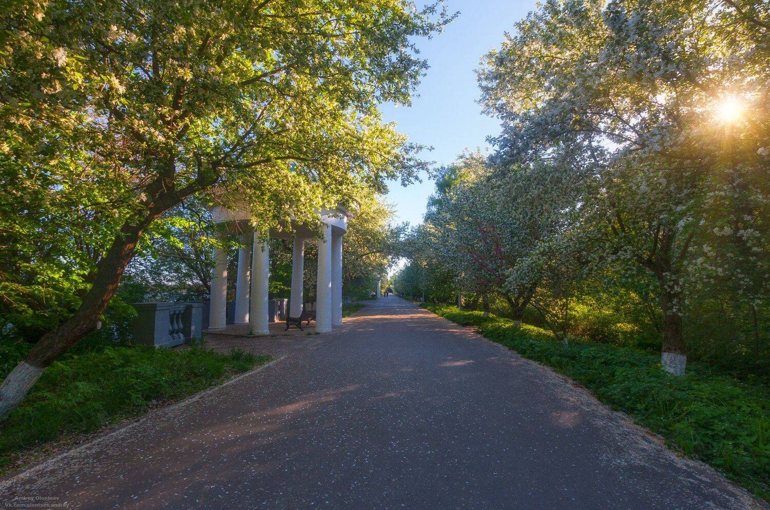 солнце, россия, рассвет, природа, подмосковье, погода, пейзажи, пейзаж, отражение, наукоград, красота, дубна, вода, весна, weather, water, spring, russia, reflection, naukograd, nature, moscow, landscape, dawn, canon, dubna, beauty, Андрей Олонцев