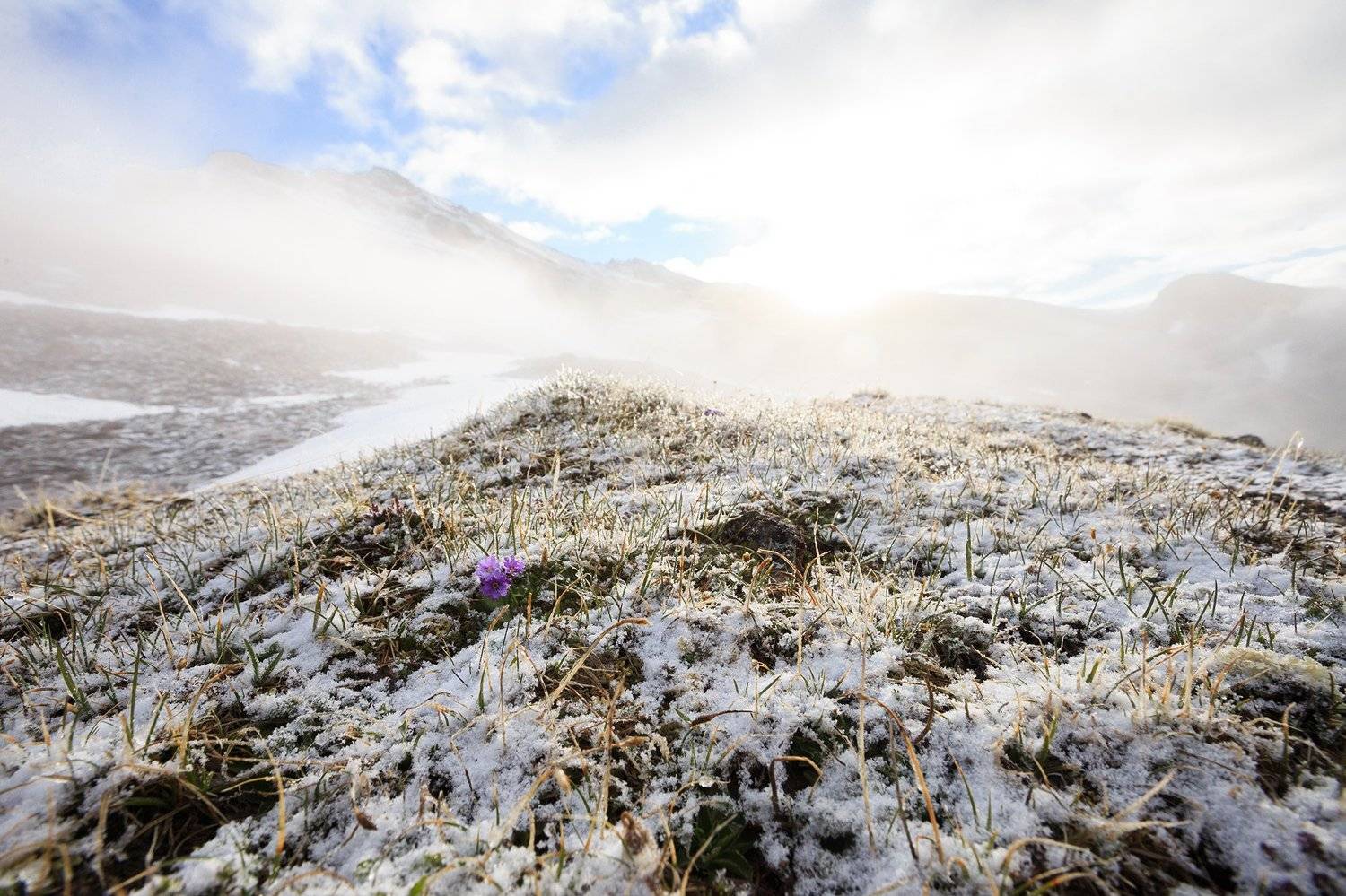 , Иван Карчев