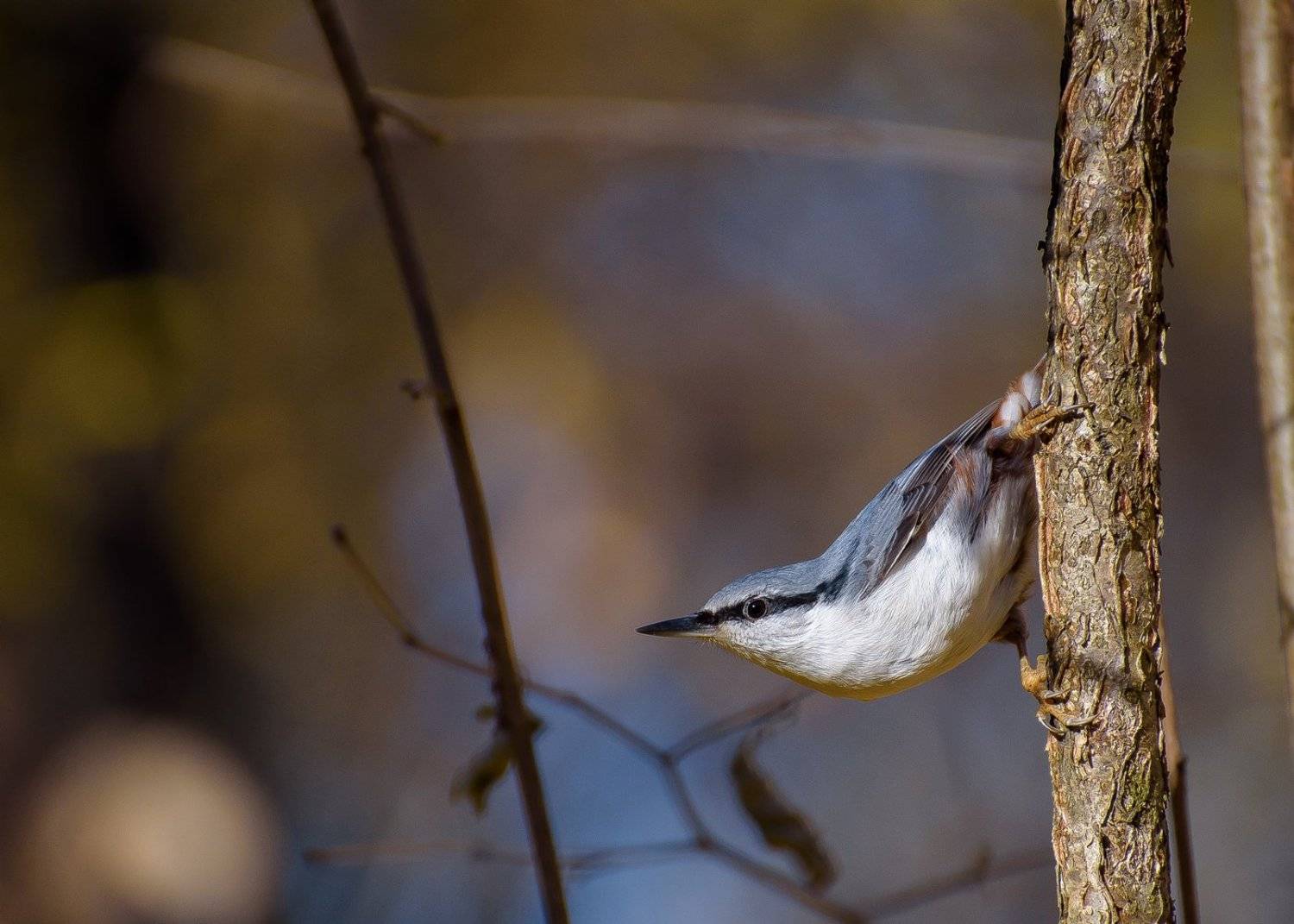 , Кузнецов Дмитрий