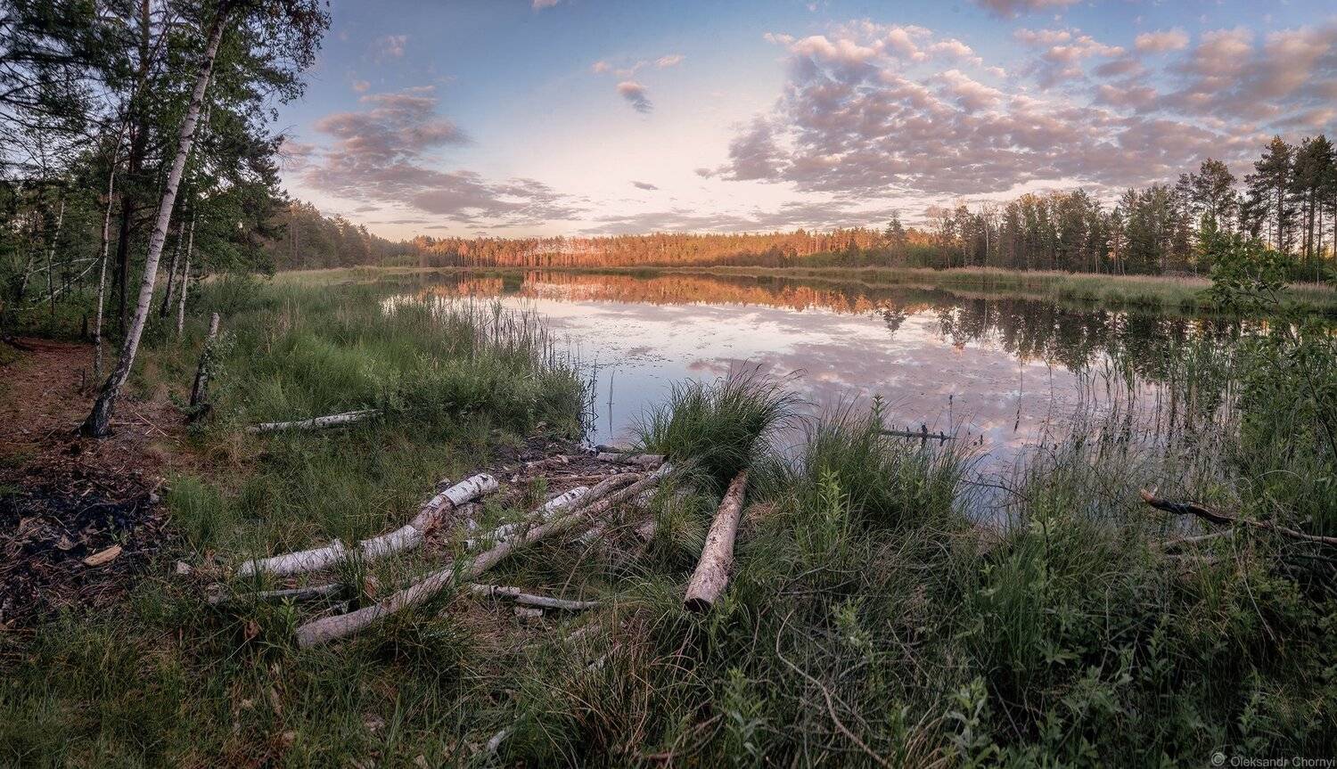 украина, коростышев, природа, лес, полесье, озеро, круглое, тишина, уединение, счастье, жизнь, воздух, чистый, вдохновение,     облака, отражение, трава, березки, деревья, просторы, фотограф, чорный,, Александр Чорный