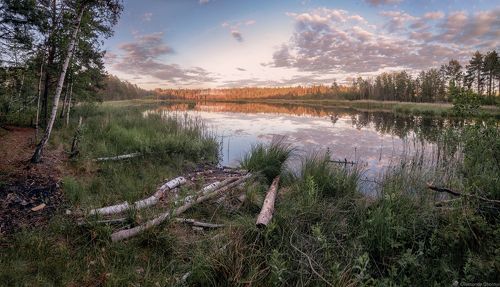 Пусть говорит тишина