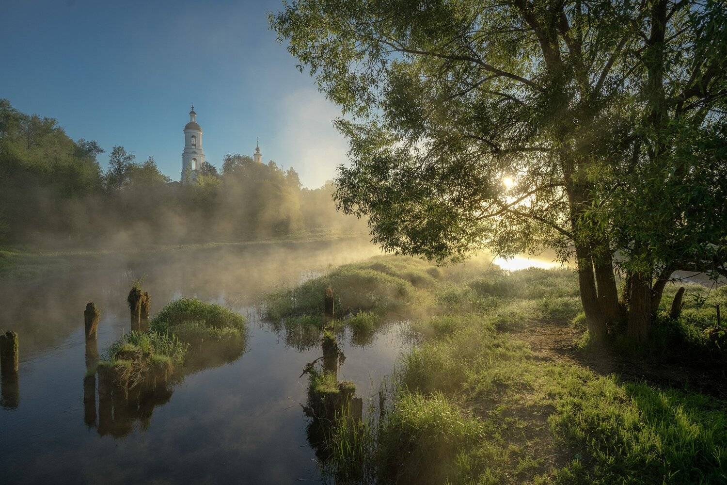филипповское, шерна, река, церковь, утро, рассвет, туман, дерево, путешествие, пейзаж, зелень, Андрей Чиж