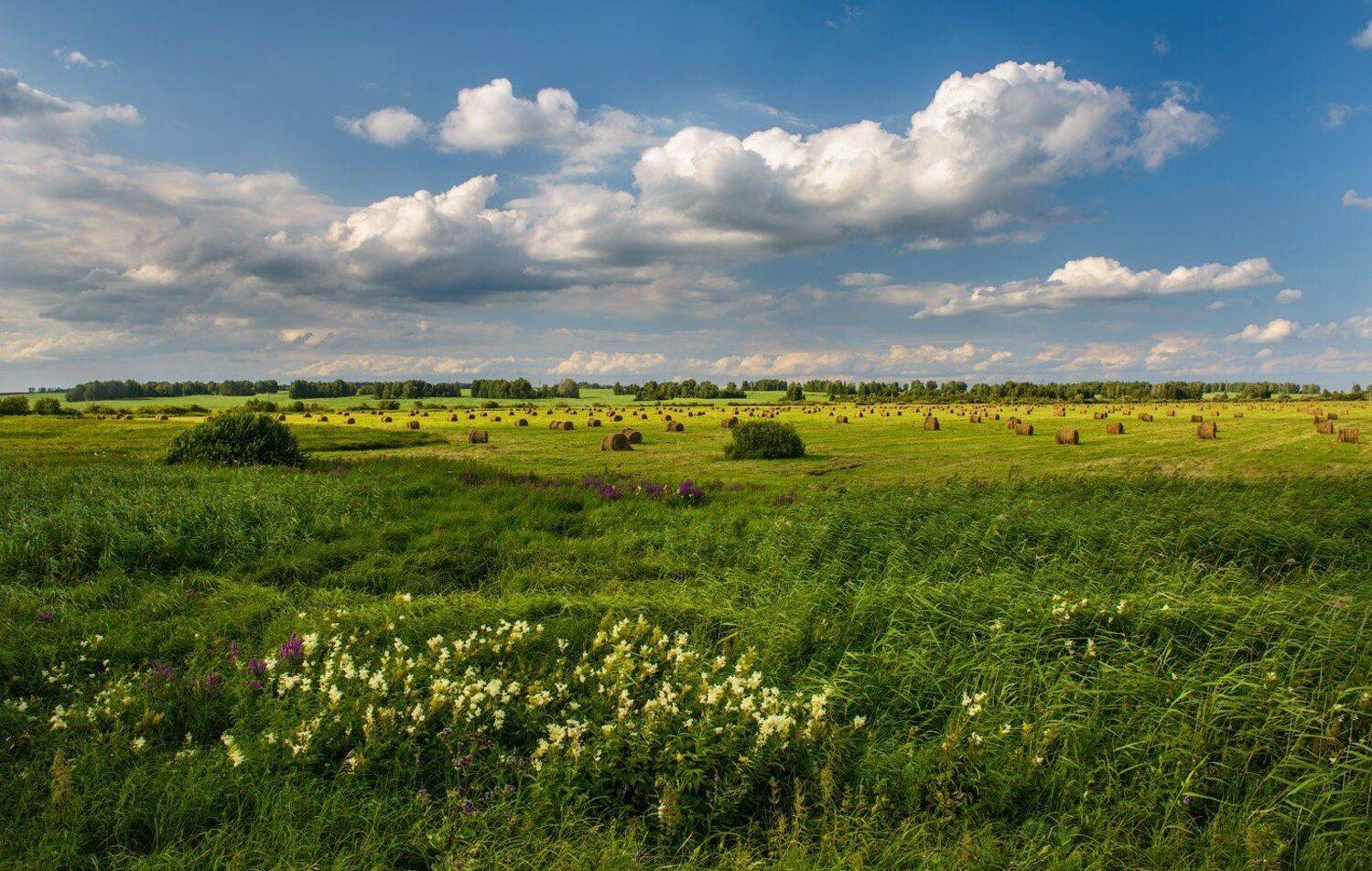 , Кутыгин Эдуард