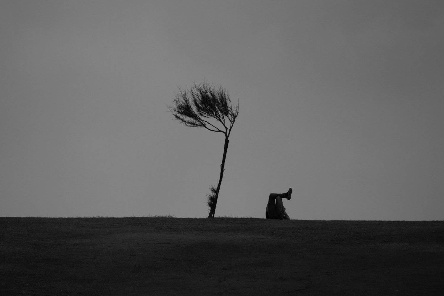 silhouet black and white people, vladimir algazin